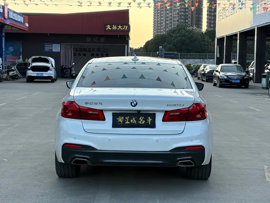 BMW BMW 5 Series 2019 530Li Leading Model M Sport Package 2019 - thumbnail 19