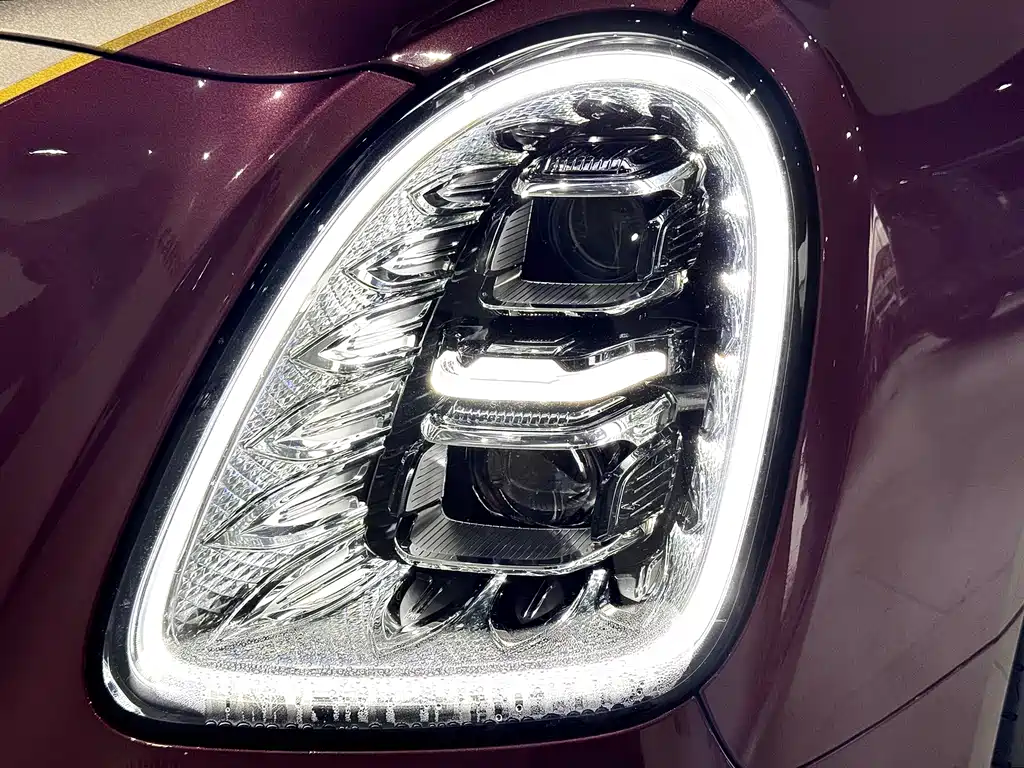 Hongqi Hongqi Jin Kui Hua Guo Ya 2024 4.0T V8 2025 - thumbnail 8