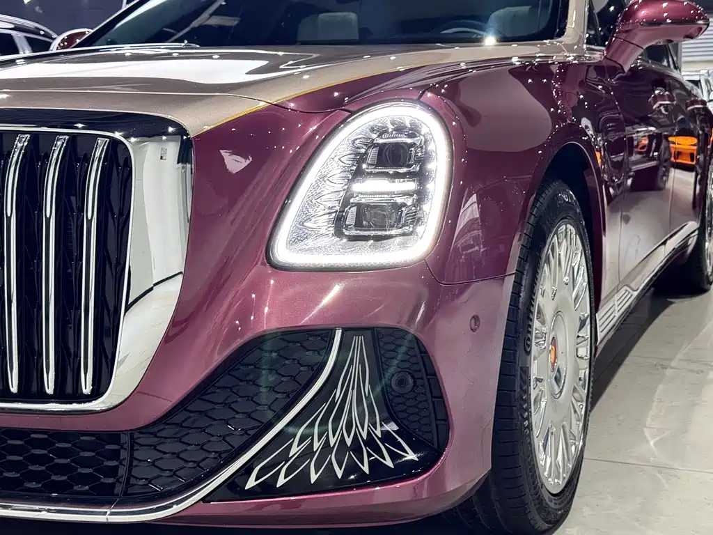 Hongqi Hongqi Jin Kui Hua Guo Ya 2024 4.0T V8 2025 - thumbnail 11