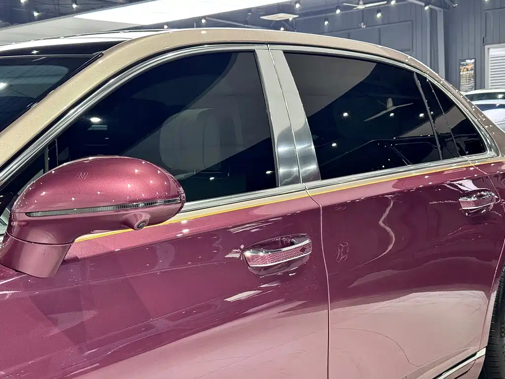 Hongqi Hongqi Jin Kui Hua Guo Ya 2024 4.0T V8 2025 - thumbnail 12