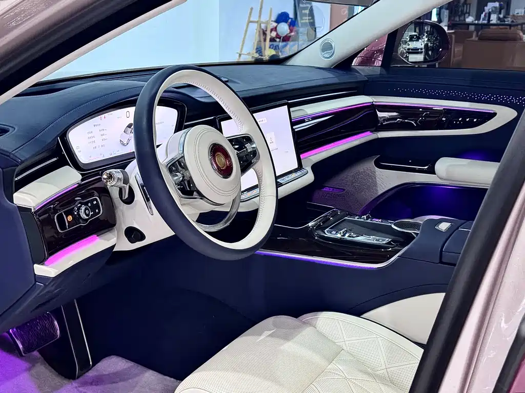 Hongqi Hongqi Jin Kui Hua Guo Ya 2024 4.0T V8 2025 - thumbnail 20
