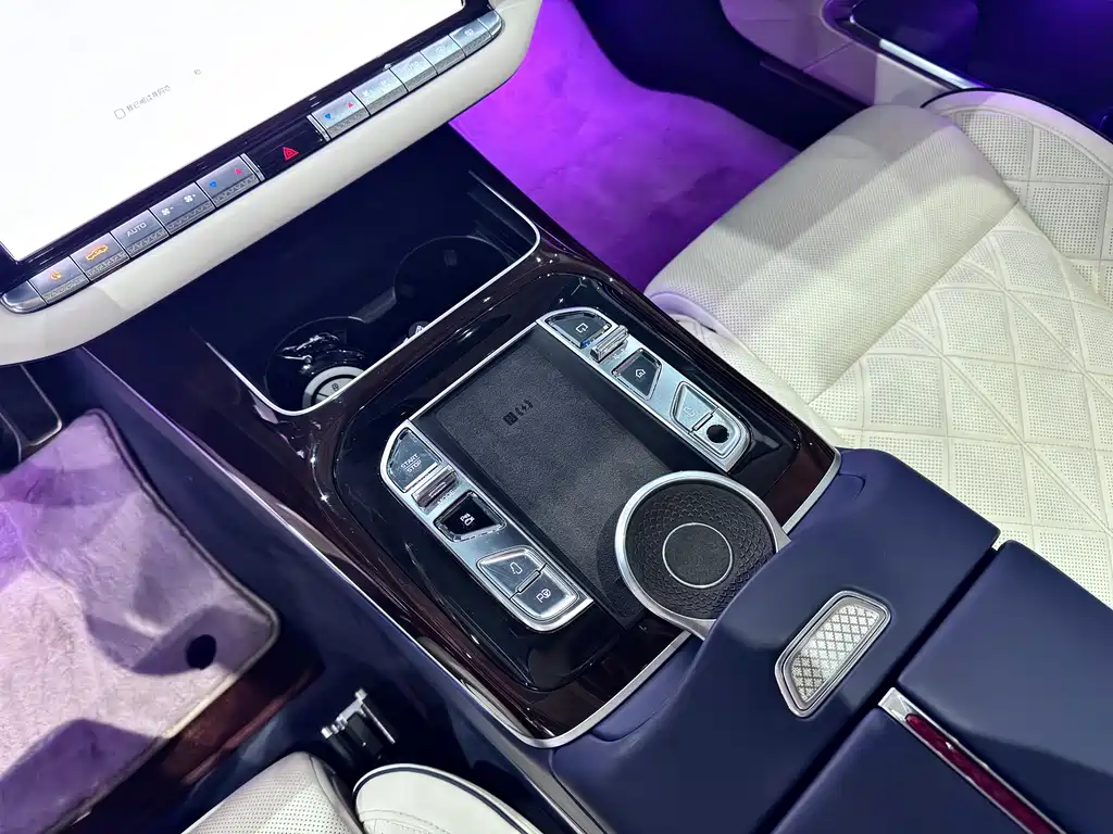 Hongqi Hongqi Jin Kui Hua Guo Ya 2024 4.0T V8 2025 - thumbnail 23
