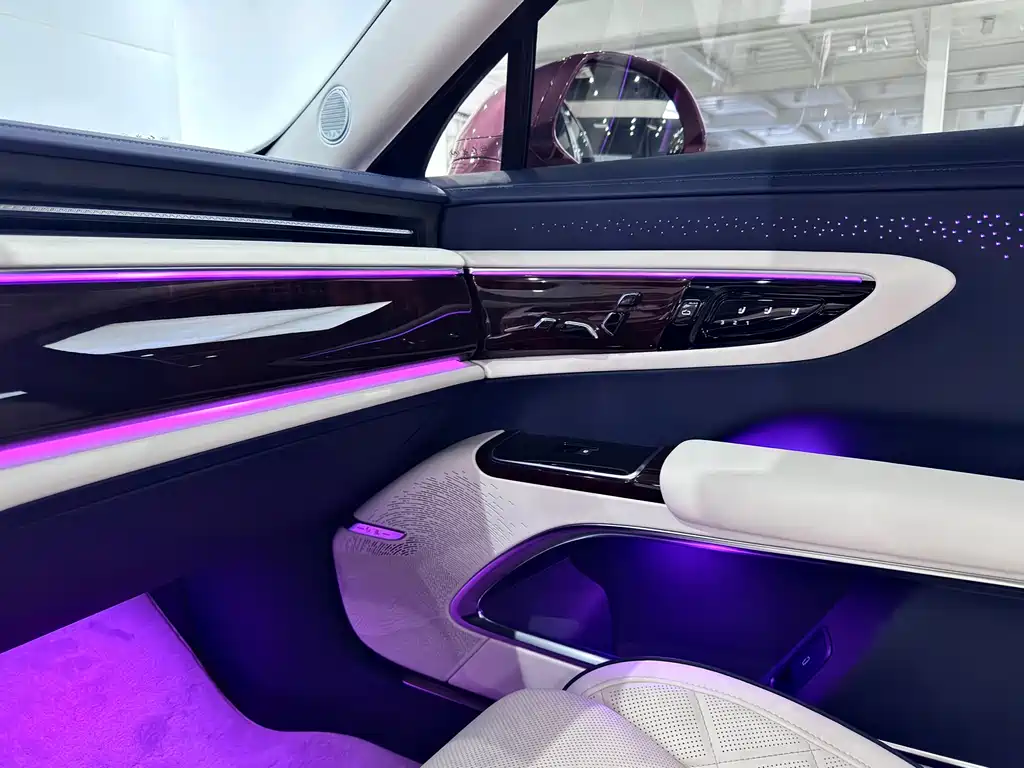 Hongqi Hongqi Jin Kui Hua Guo Ya 2024 4.0T V8 2025 - thumbnail 24