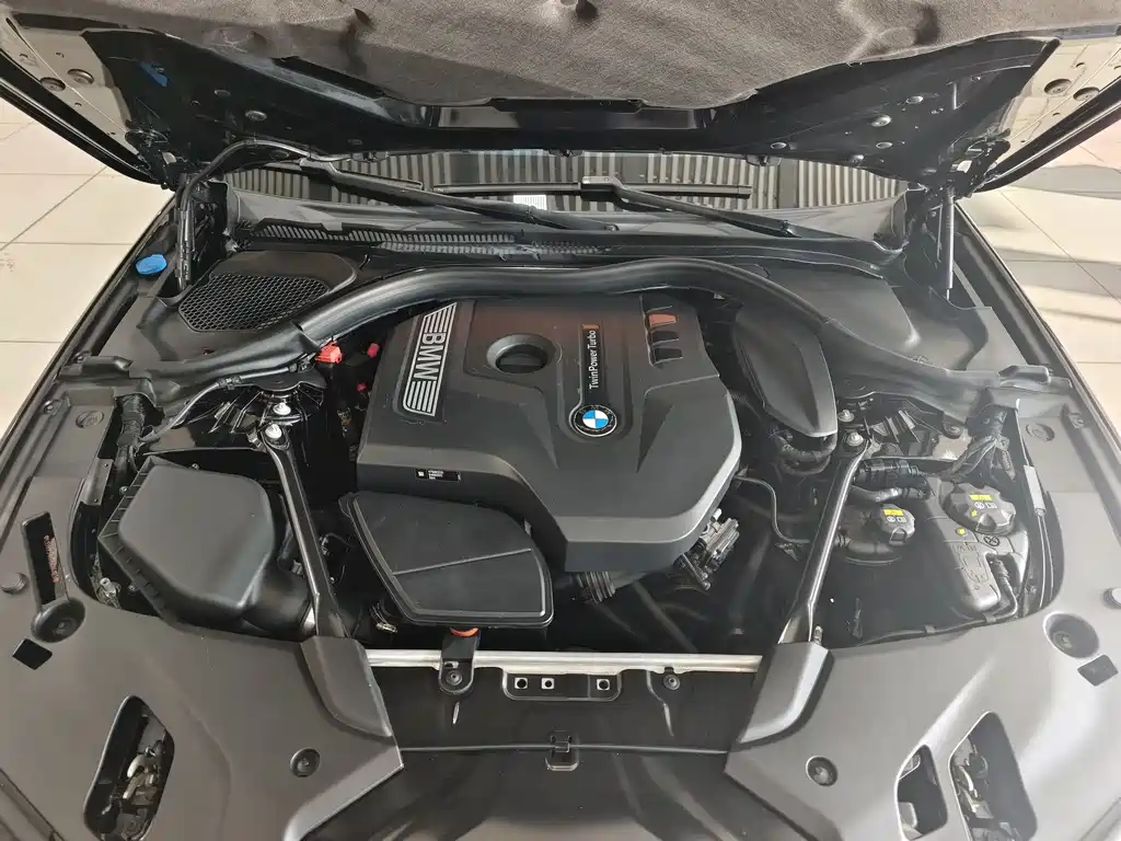 BMW BMW 5 Series 2018 528Li Special Edition 2018 - thumbnail 8