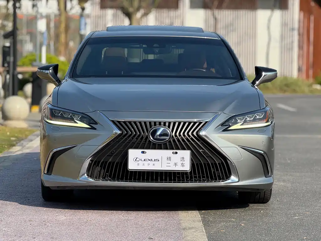 Lexus Lexus ES 300h F Sport (China V) 2018 - thumbnail 2