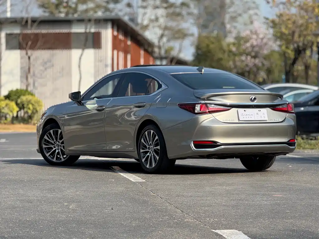 Lexus Lexus ES 300h F Sport (China V) 2018 - thumbnail 4