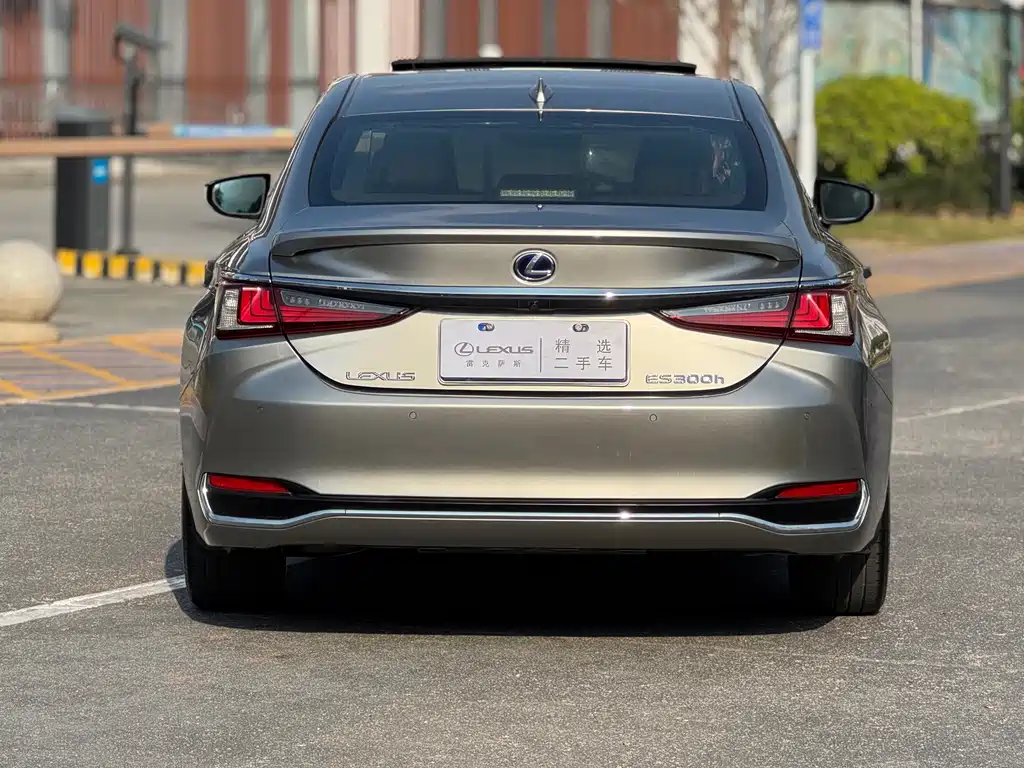 Lexus Lexus ES 300h F Sport (China V) 2018 - thumbnail 15
