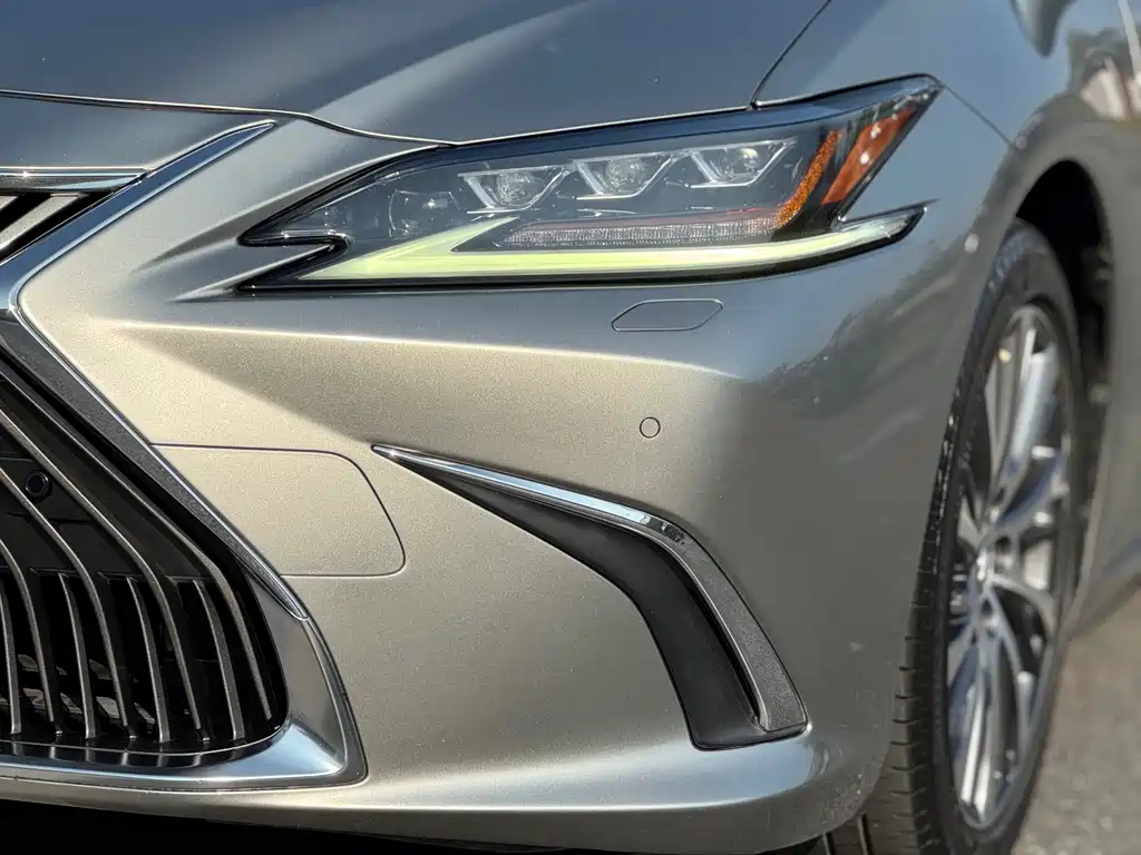 Lexus Lexus ES 300h F Sport (China V) 2018 - thumbnail 16