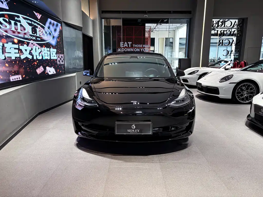 Tesla Model 3 Rear-Wheel Drive 2022 2023 - thumbnail 2