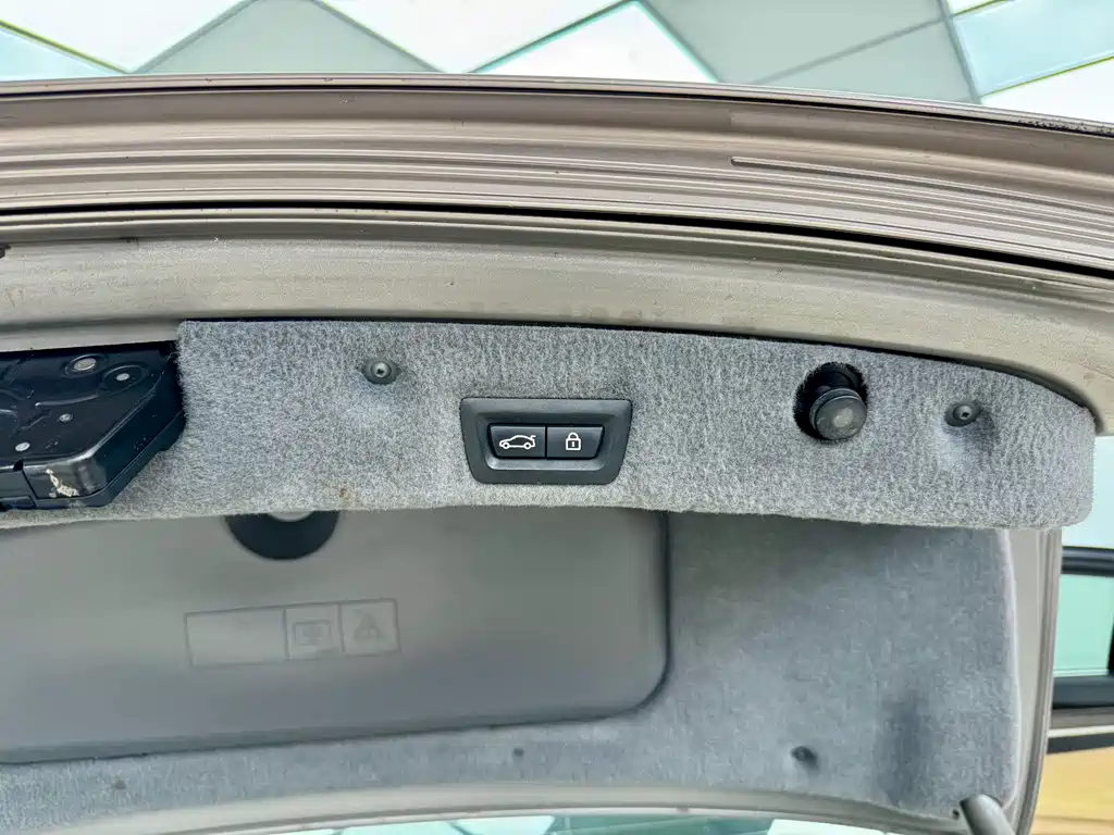 BMW BMW 7 Series 2009 730Li Luxury Edition 2011 - thumbnail 24