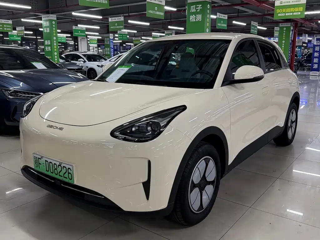 Geely Galaxy Star Wish 2025 Model 310km Youth Edition 2025