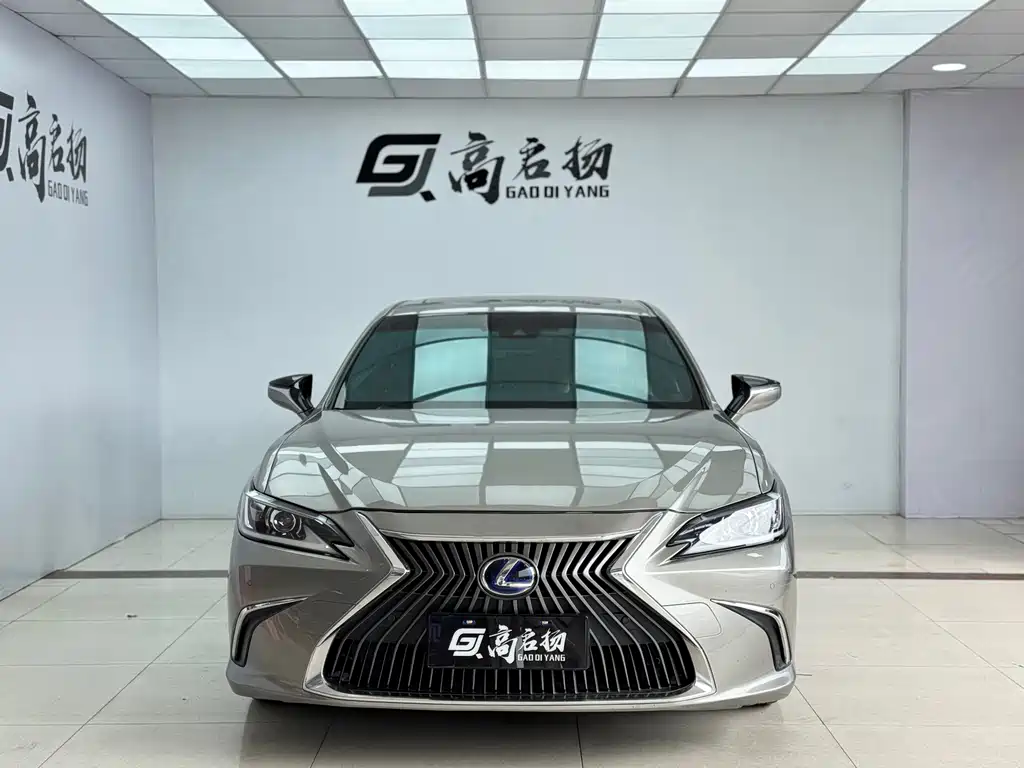 Lexus Lexus ES 300h F Sport (2020) 2020 - thumbnail 2
