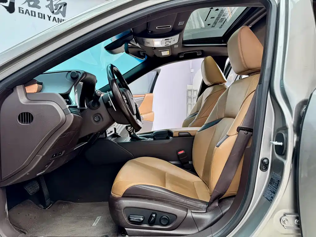 Lexus Lexus ES 300h F Sport (2020) 2020 - thumbnail 5