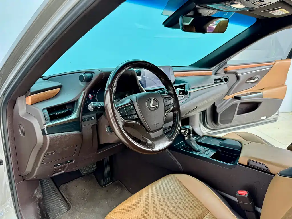 Lexus Lexus ES 300h F Sport (2020) 2020 - thumbnail 6
