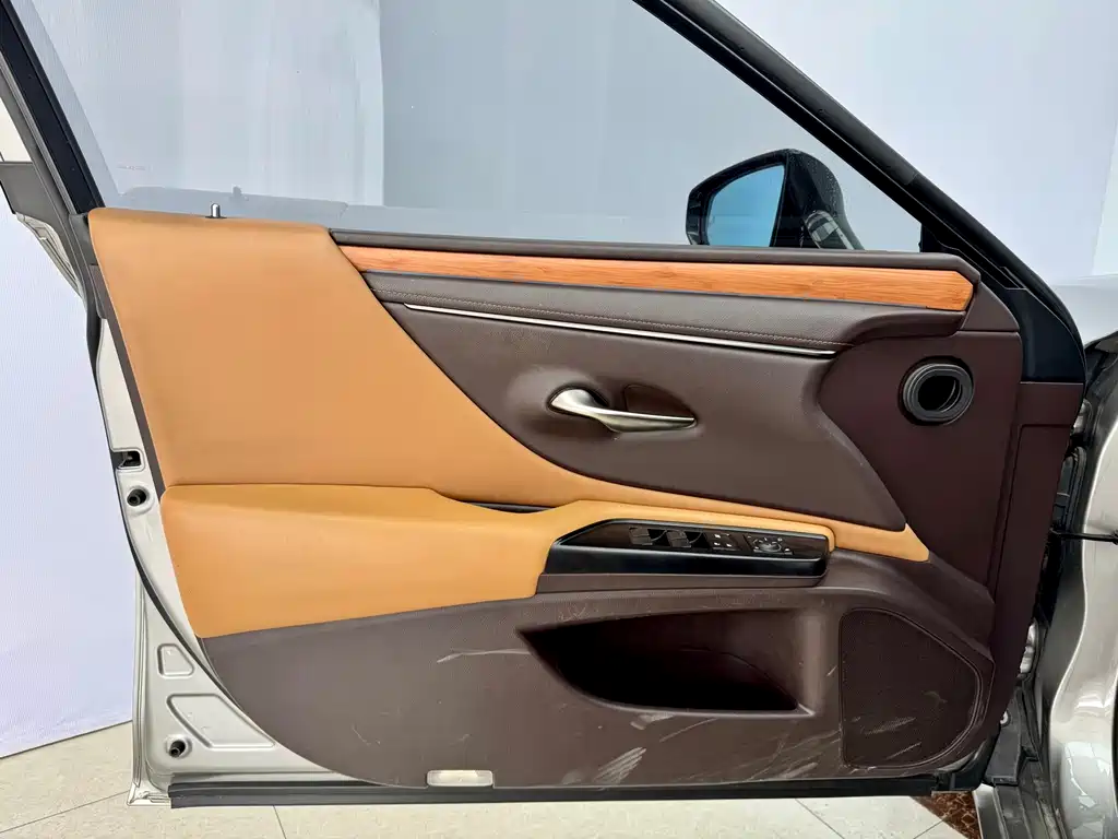 Lexus Lexus ES 300h F Sport (2020) 2020 - thumbnail 7