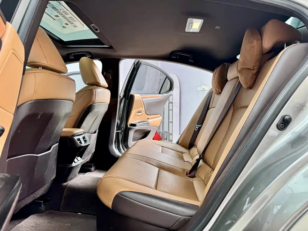 Lexus Lexus ES 300h F Sport (2020) 2020 - thumbnail 8