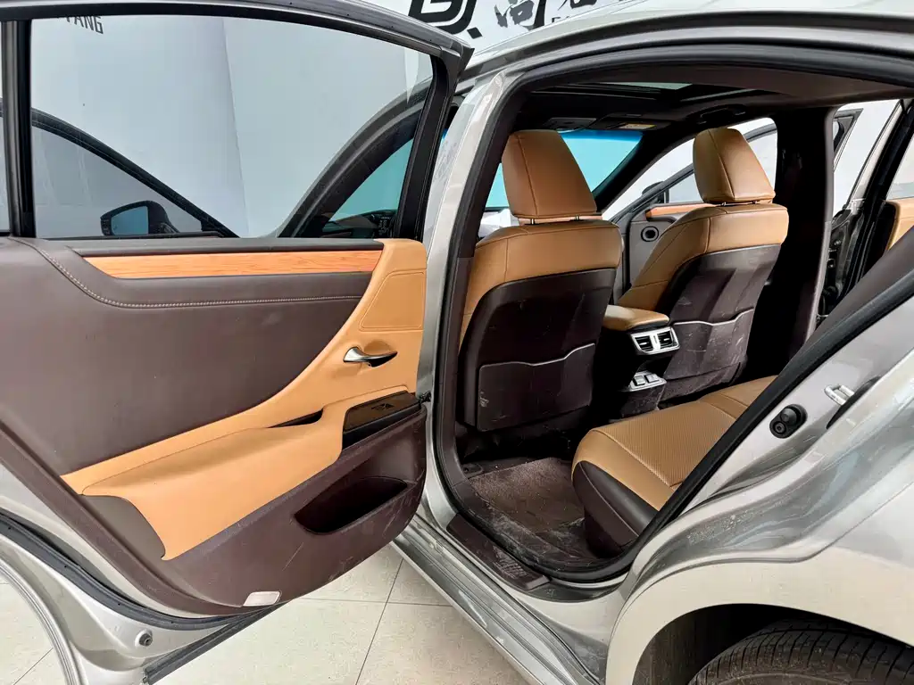 Lexus Lexus ES 300h F Sport (2020) 2020 - thumbnail 9