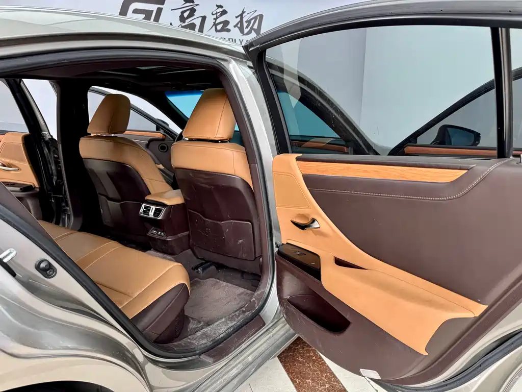 Lexus Lexus ES 300h F Sport (2020) 2020 - thumbnail 10