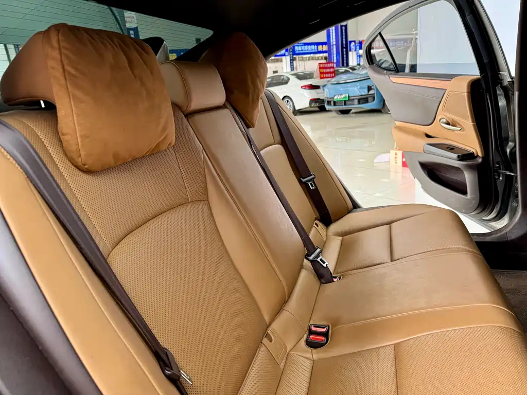 Lexus Lexus ES 300h F Sport (2020) 2020 - thumbnail 11