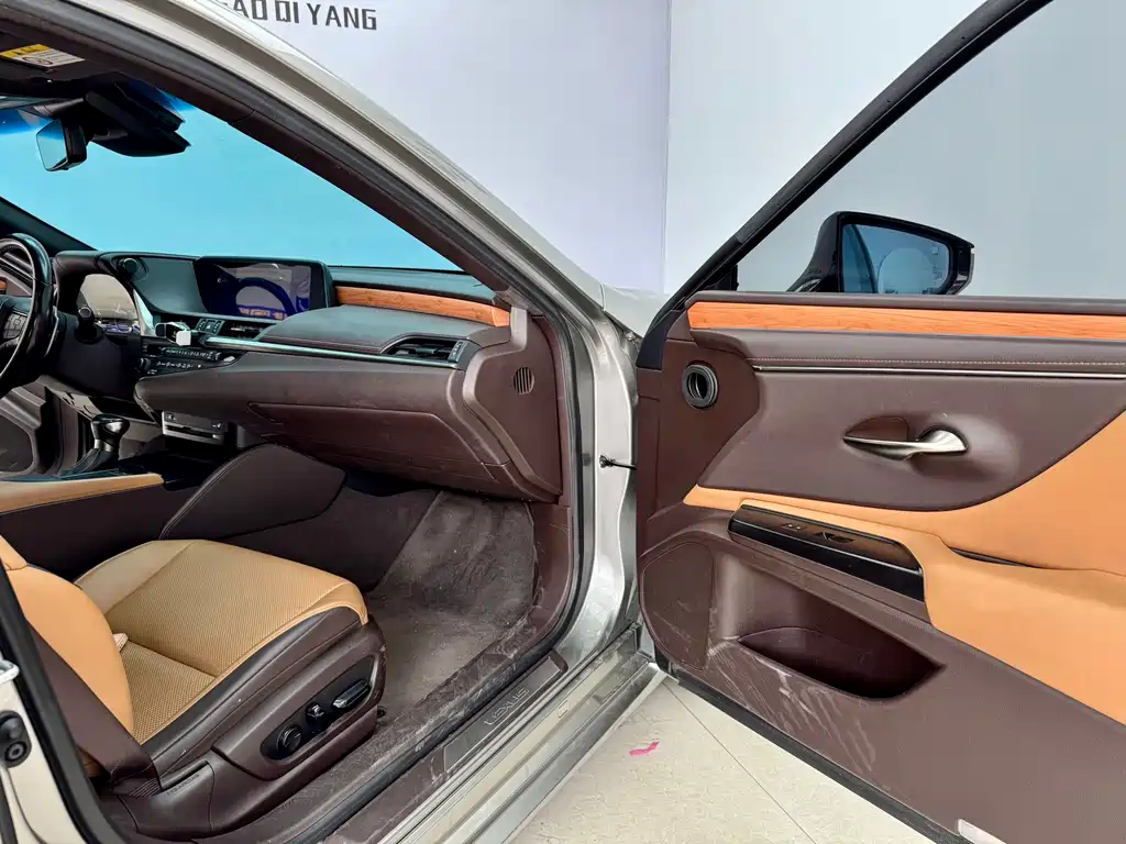 Lexus Lexus ES 300h F Sport (2020) 2020 - thumbnail 12