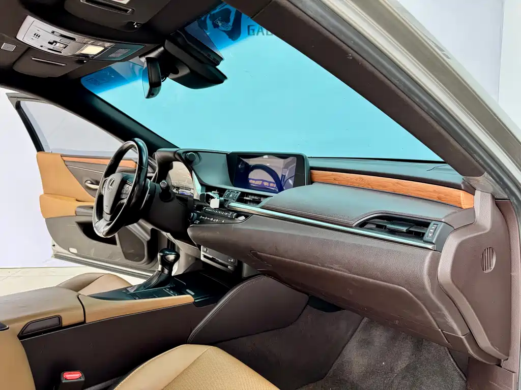 Lexus Lexus ES 300h F Sport (2020) 2020 - thumbnail 13