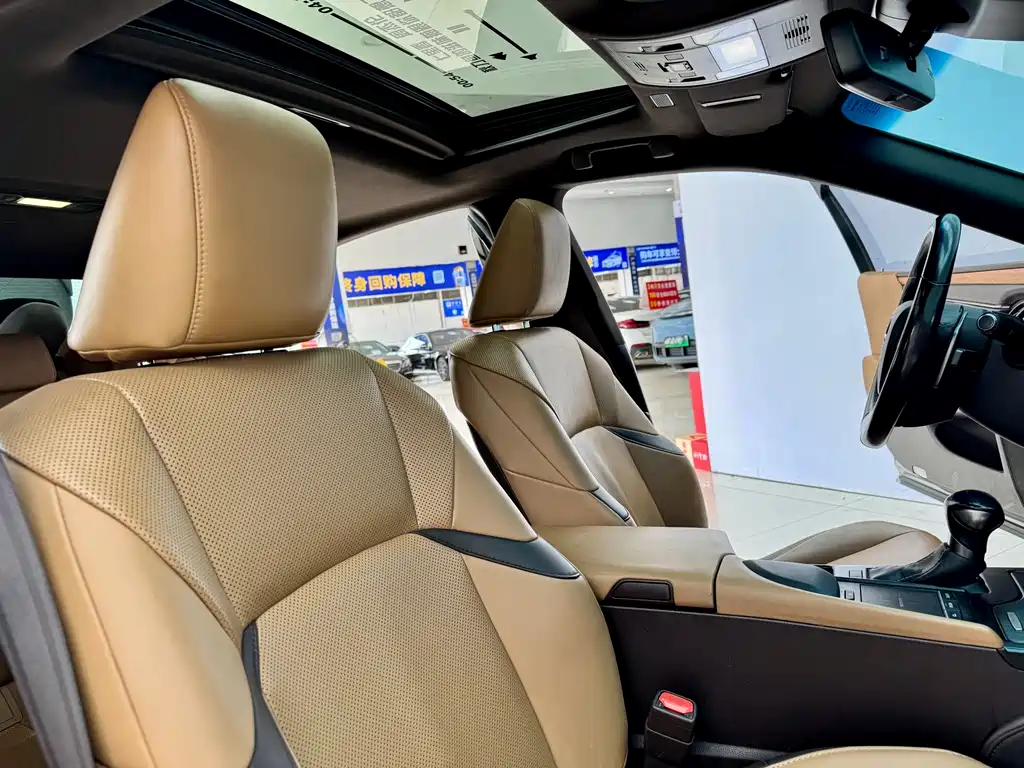Lexus Lexus ES 300h F Sport (2020) 2020 - thumbnail 14