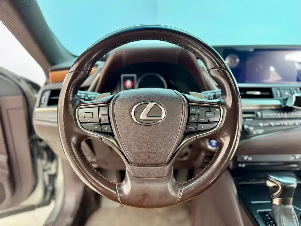 Lexus Lexus ES 300h F Sport (2020) 2020 - thumbnail 16