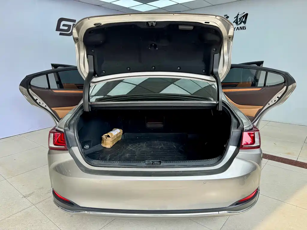 Lexus Lexus ES 300h F Sport (2020) 2020 - thumbnail 20