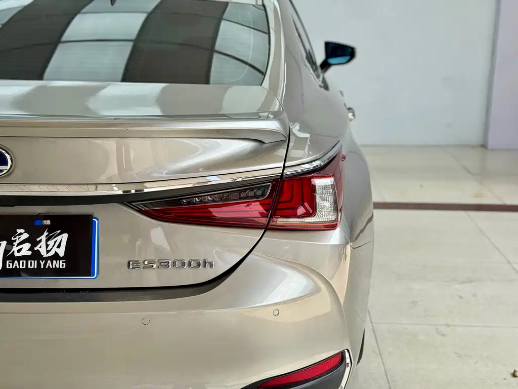 Lexus Lexus ES 300h F Sport (2020) 2020 - thumbnail 24