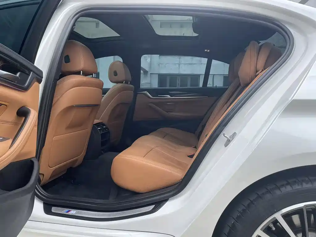 BMW BMW 5 Series 2019 530Li Leading Model M Sport Package 2019 - thumbnail 6