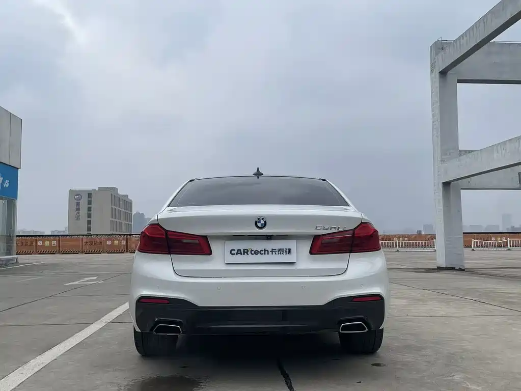 BMW BMW 5 Series 2019 530Li Leading Model M Sport Package 2019 - thumbnail 8
