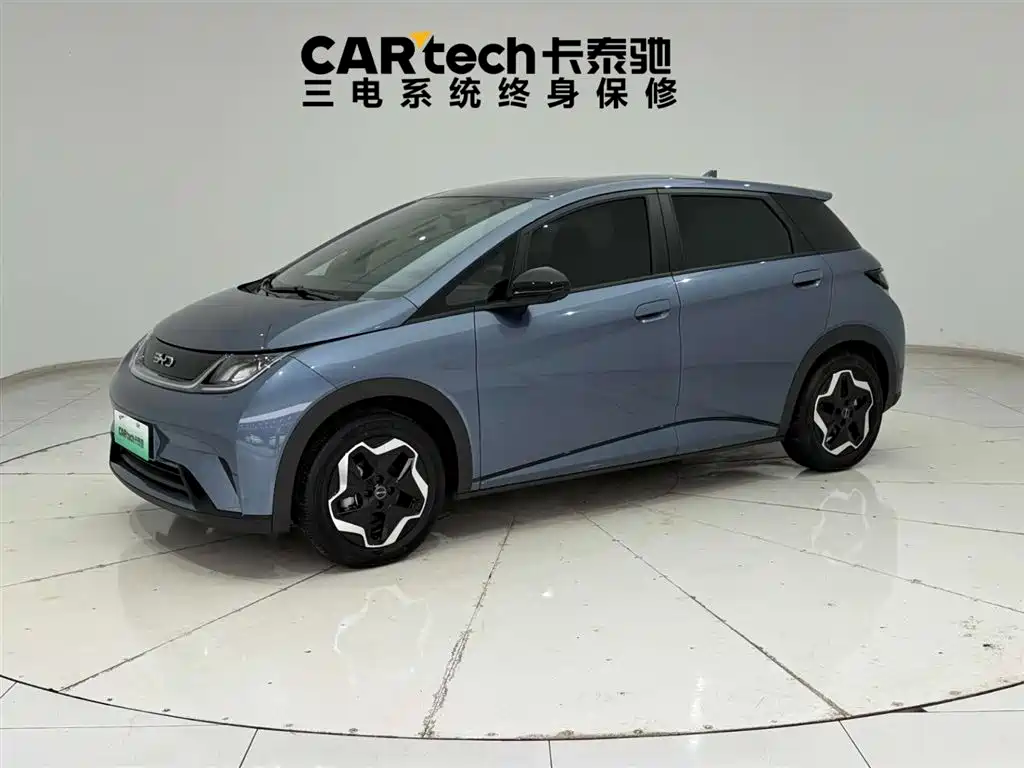 BYD Dolphin 2025 Model 420km Active Edition 2024 - thumbnail 2