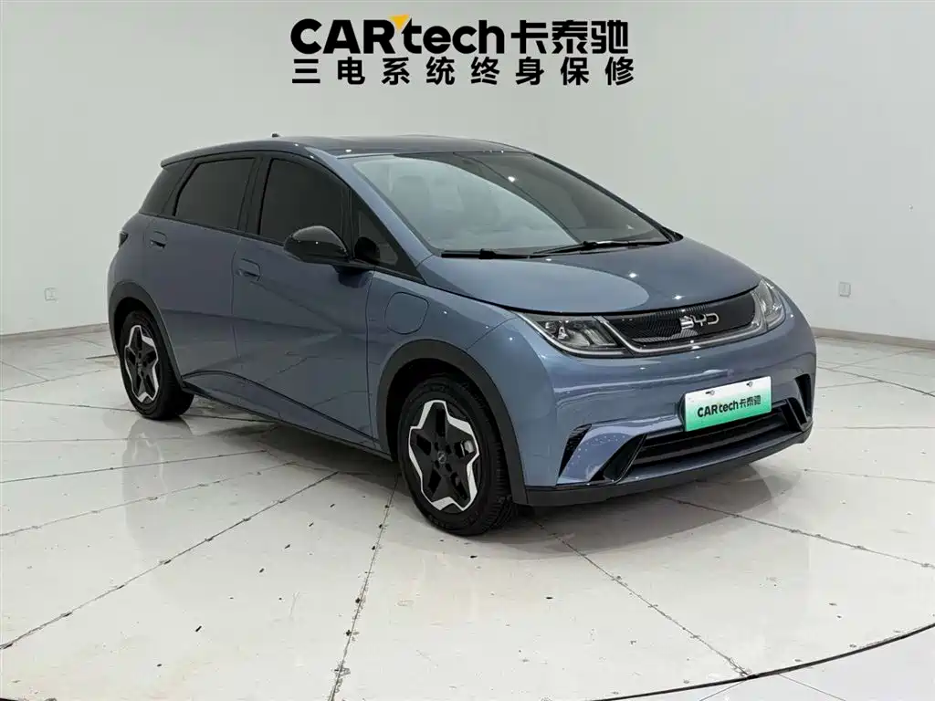 BYD Dolphin 2025 Model 420km Active Edition 2024 - thumbnail 5