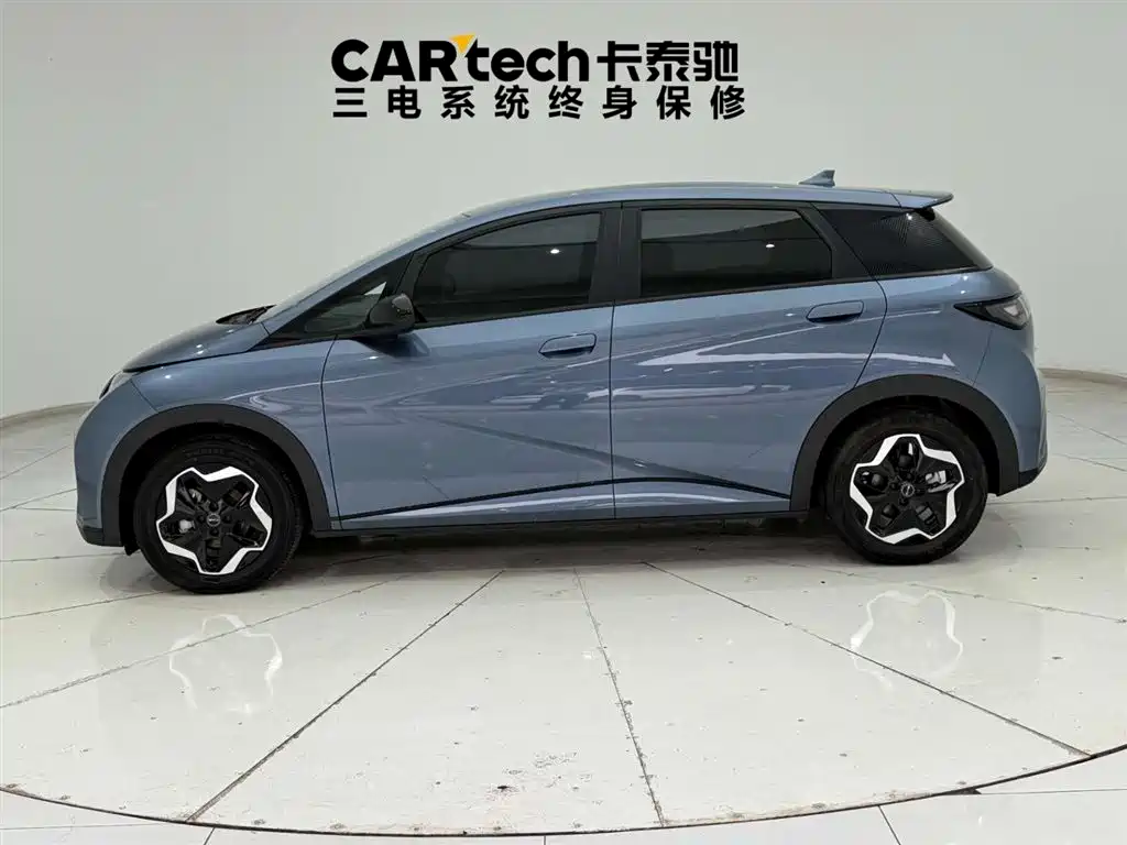 BYD Dolphin 2025 Model 420km Active Edition 2024 - thumbnail 7