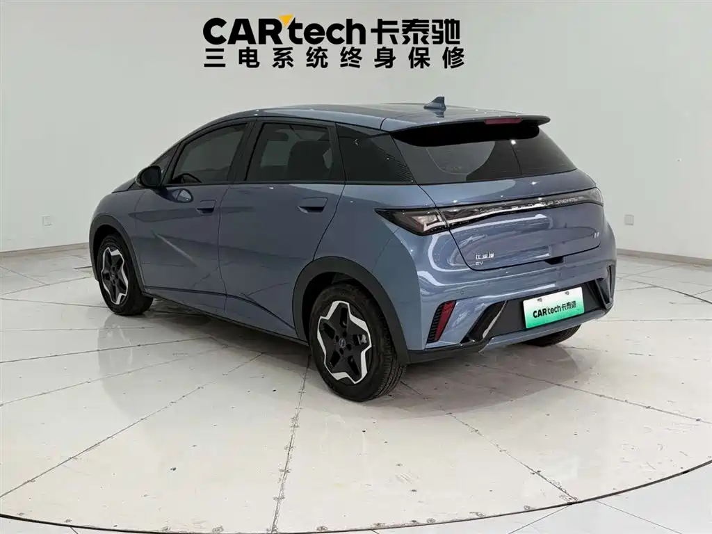 BYD Dolphin 2025 Model 420km Active Edition 2024 - thumbnail 8