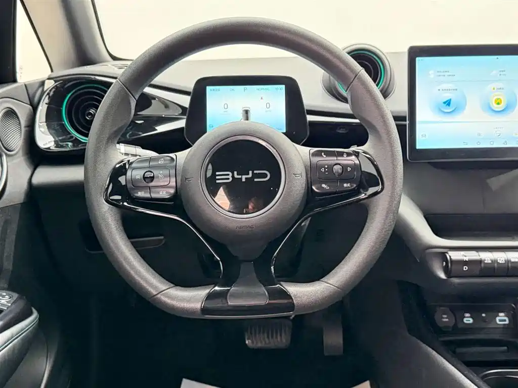 BYD Dolphin 2025 Model 420km Active Edition 2024 - thumbnail 27