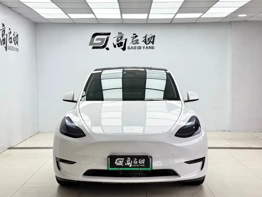 Tesla Model Y Long Range All-Wheel Drive 2021 2021 - thumbnail 2