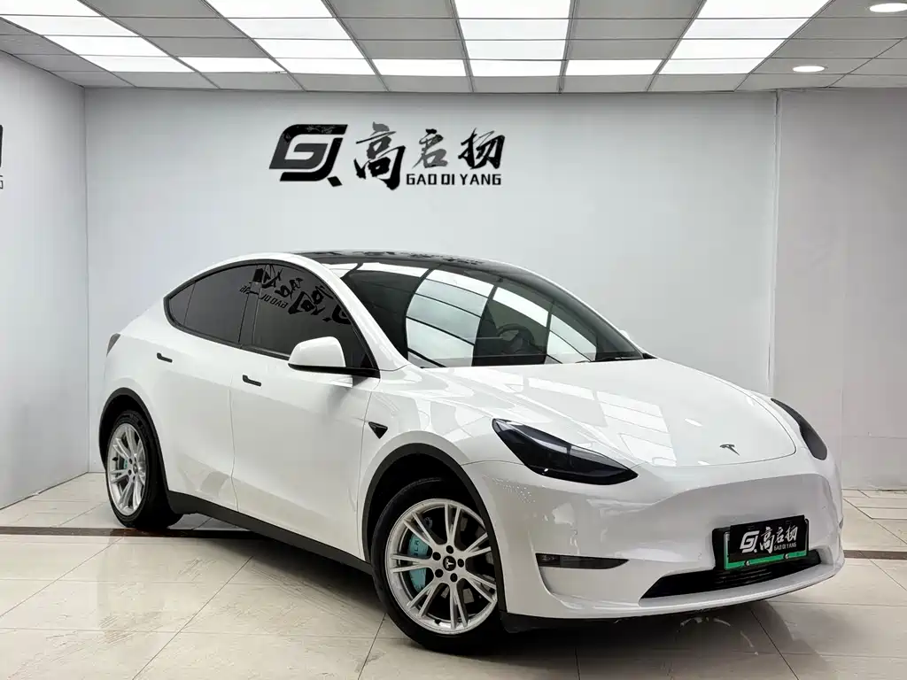 Tesla Model Y Long Range All-Wheel Drive 2021 2021 - thumbnail 3