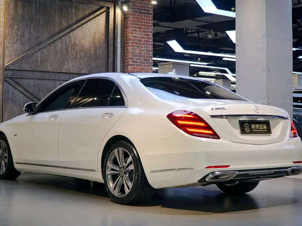 Mercedes-Benz Mercedes-Benz S-Class 2020 S 350 L Premium Exclusive Edition 2020 - thumbnail 6