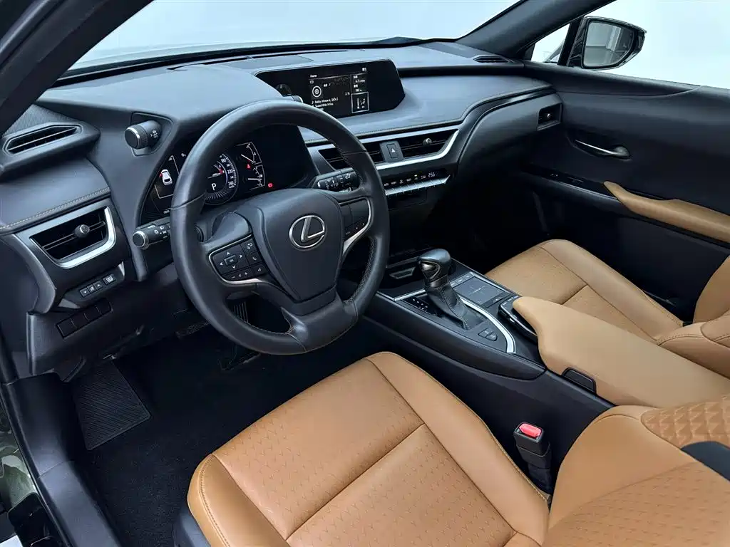 Lexus Lexus UX 200 Special Edition 2020 2022 - thumbnail 15