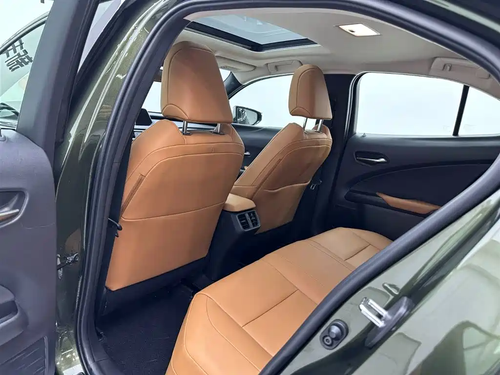 Lexus Lexus UX 200 Special Edition 2020 2022 - thumbnail 20