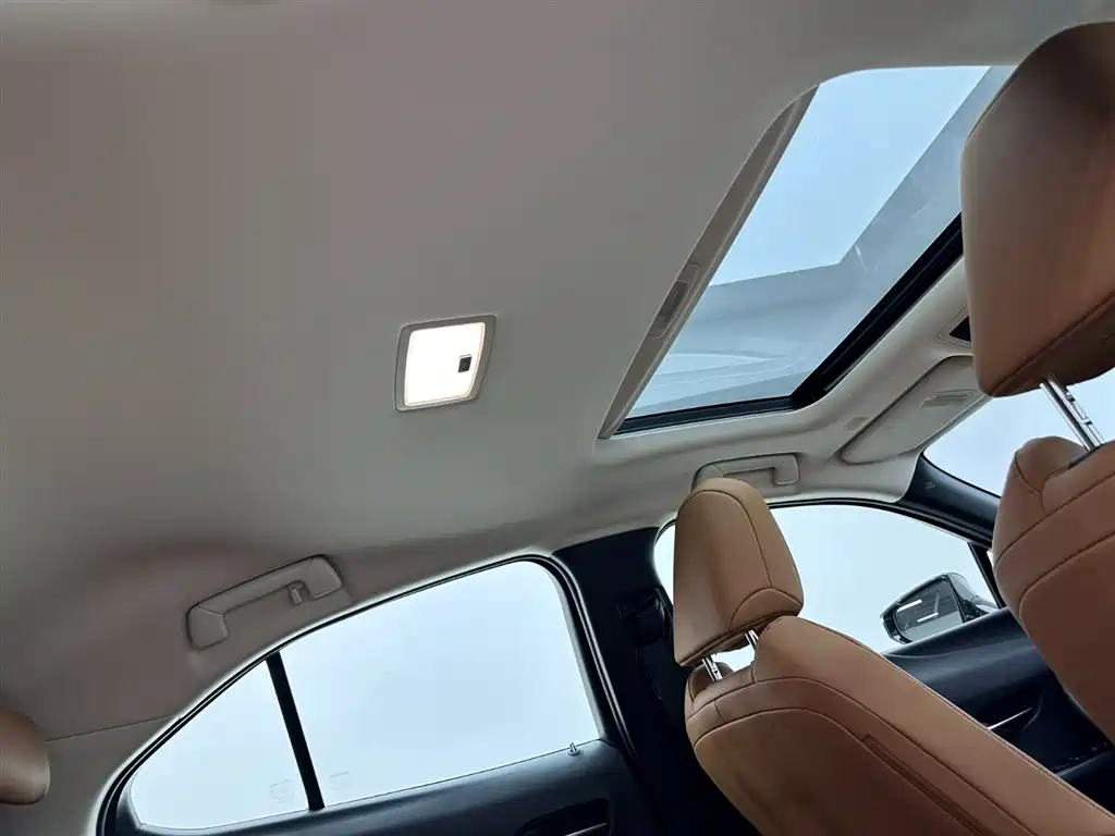 Lexus Lexus UX 200 Special Edition 2020 2022 - thumbnail 22