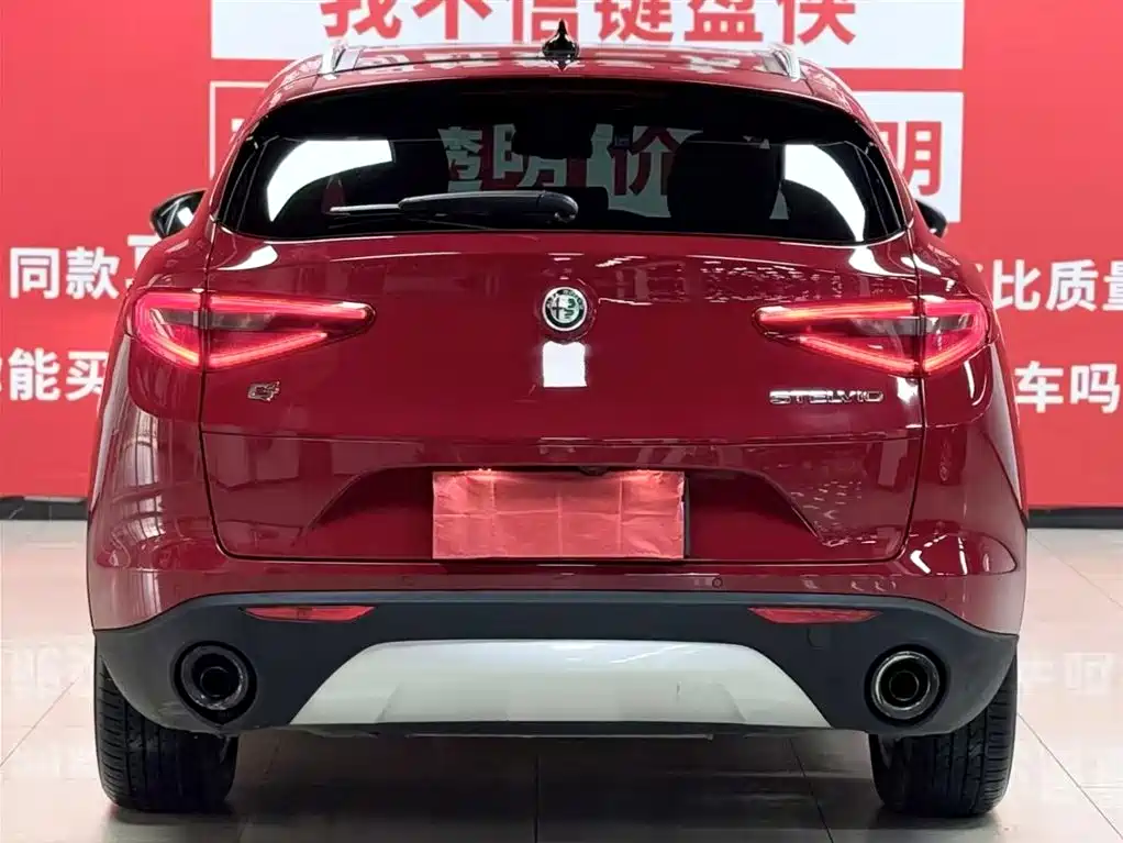 Alfa Romeo Alfa Romeo Stelvio 2017 2.0T 200HP Luxury Edition 2020 - thumbnail 5