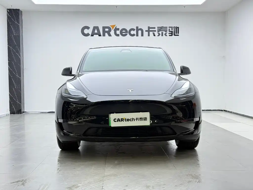 Tesla Model Y Long Range All-Wheel Drive 2023 2024 - thumbnail 2
