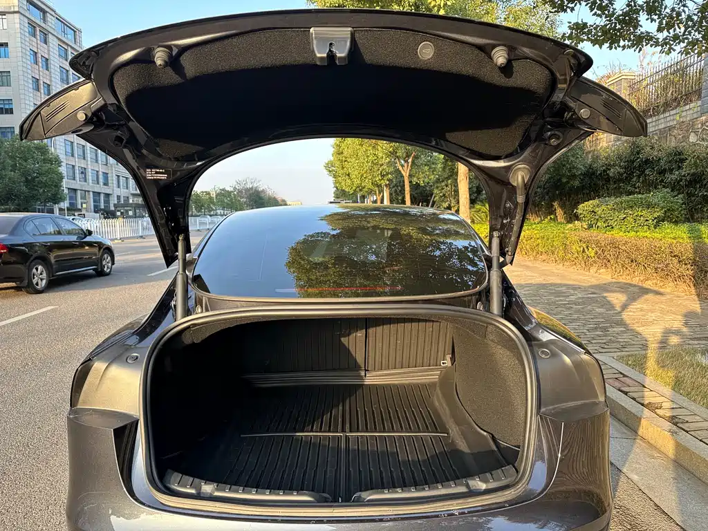 Tesla Model 3 Long Range All-Wheel Drive 2023 2025 - thumbnail 11