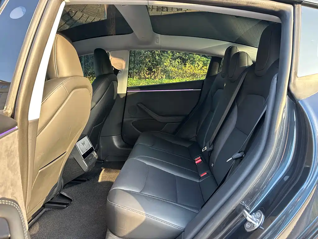 Tesla Model 3 Long Range All-Wheel Drive 2023 2025 - thumbnail 12