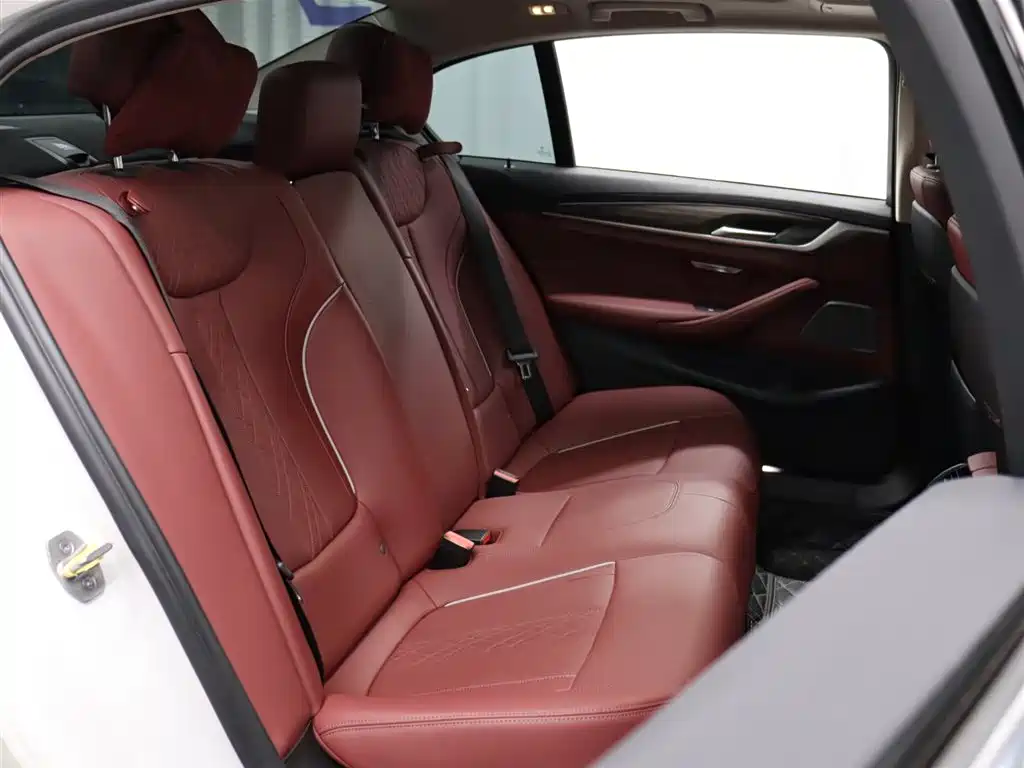 BMW BMW 5 Series 2022 Model Year Facelift 530Li Leading Edition Luxury Package 2022 - thumbnail 23