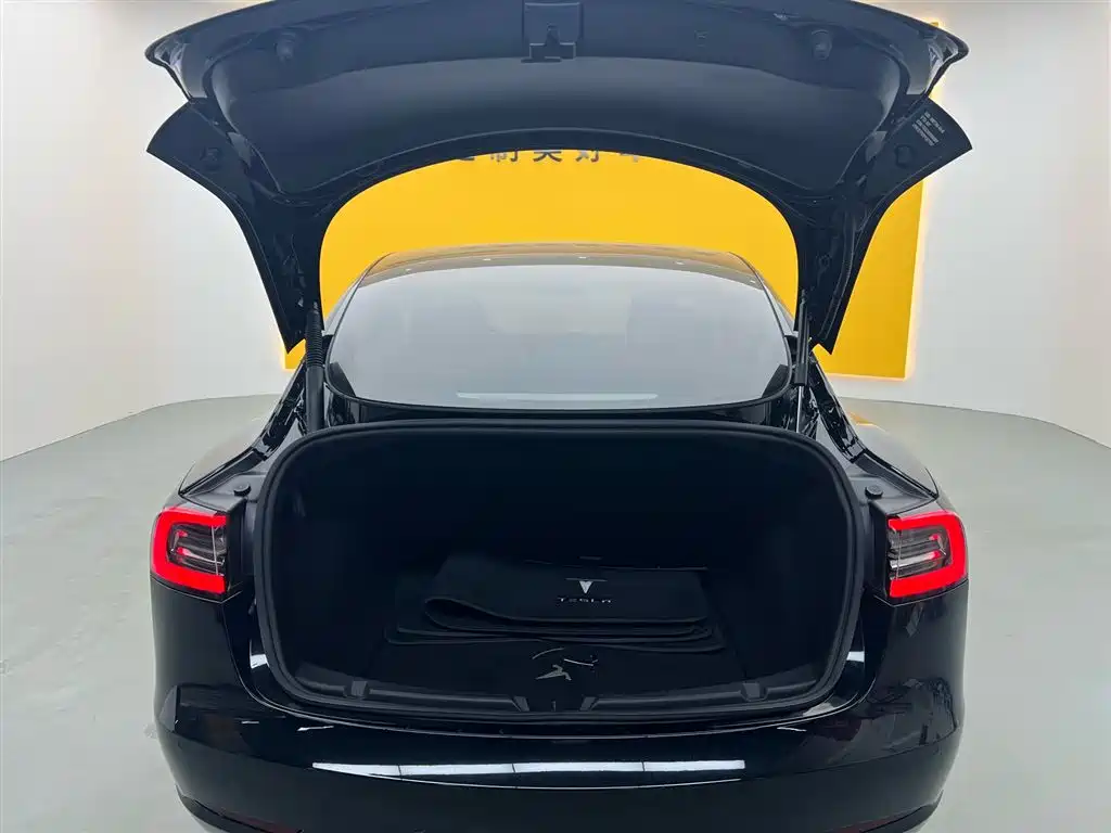 Tesla Model 3 Rear-Wheel Drive 2022 2023 - thumbnail 12