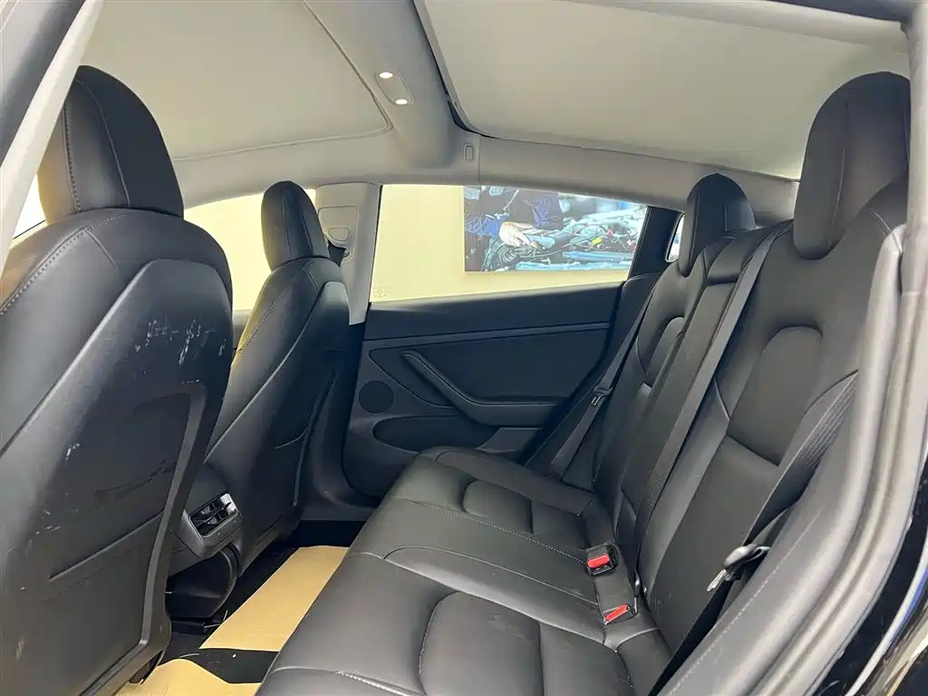 Tesla Model 3 Rear-Wheel Drive 2022 2023 - thumbnail 20