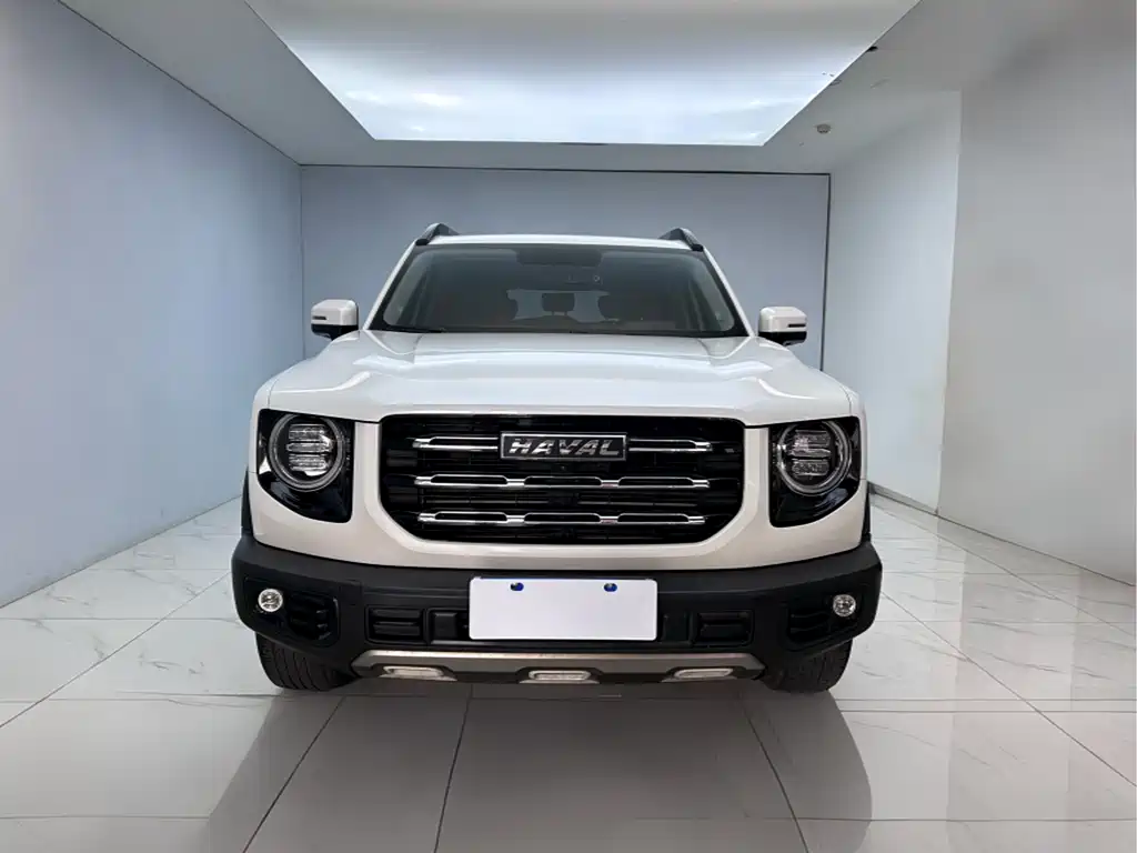 Haval Haval Big Dog 2021 1.5T DCT 2WD Border Collie Edition 2021 - thumbnail 2